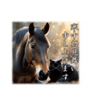 干支は猫年だにゃ♥馬とネコ年賀 改（個別スタンプ：19）