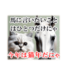 干支は猫年だにゃ♥馬とネコ年賀 改（個別スタンプ：22）