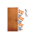 1年中毎日使える パーカーねこ 日常（個別スタンプ：25）