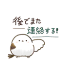 いつも一緒✨優しいシマエナガの毎日✨（個別スタンプ：25）