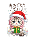 可愛い猫 シール風 思いやり 冬 敬語 BIG（個別スタンプ：19）