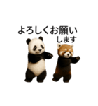 動く！パンダとレッサーパンダBABY（個別スタンプ：3）