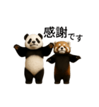 動く！パンダとレッサーパンダBABY（個別スタンプ：10）