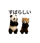 動く！パンダとレッサーパンダBABY（個別スタンプ：13）