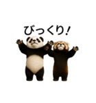 動く！パンダとレッサーパンダBABY（個別スタンプ：16）