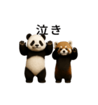 動く！パンダとレッサーパンダBABY（個別スタンプ：24）