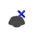 トイプードル(3色)が動いてアピールします（個別スタンプ：6）