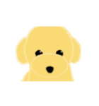 トイプードル(3色)が動いてアピールします（個別スタンプ：12）