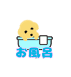 トイプードル(3色)が動いてアピールします（個別スタンプ：15）