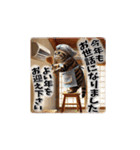 トラにゃんの年末年始スタンプ（再販）（個別スタンプ：1）