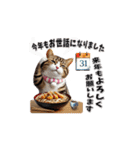 トラにゃんの年末年始スタンプ（再販）（個別スタンプ：2）