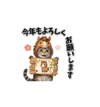トラにゃんの年末年始スタンプ（再販）（個別スタンプ：4）