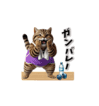 トラにゃんの年末年始スタンプ（再販）（個別スタンプ：19）