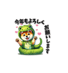 柴犬さんの年末年始（再販）（個別スタンプ：4）