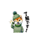 柴犬さんの年末年始（再販）（個別スタンプ：11）