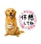 ゴールデンレトリバー★気遣い＆優しさ♡（個別スタンプ：16）