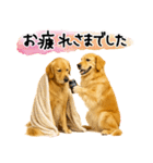 ゴールデンレトリバー★気遣い＆優しさ♡（個別スタンプ：18）