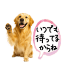 ゴールデンレトリバー★気遣い＆優しさ♡（個別スタンプ：26）