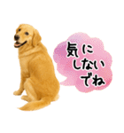 ゴールデンレトリバー★気遣い＆優しさ♡（個別スタンプ：27）