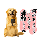 ゴールデンレトリバー★気遣い＆優しさ♡（個別スタンプ：32）