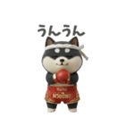 ムエタイ大好き♡柴犬夫婦の日常スタンプ（個別スタンプ：1）