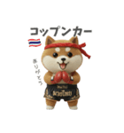 ムエタイ大好き♡柴犬夫婦の日常スタンプ（個別スタンプ：4）