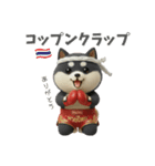 ムエタイ大好き♡柴犬夫婦の日常スタンプ（個別スタンプ：5）