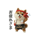 ムエタイ大好き♡柴犬夫婦の日常スタンプ（個別スタンプ：8）