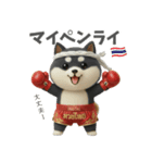 ムエタイ大好き♡柴犬夫婦の日常スタンプ（個別スタンプ：11）