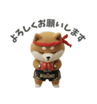 ムエタイ大好き♡柴犬夫婦の日常スタンプ（個別スタンプ：14）