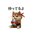 ムエタイ大好き♡柴犬夫婦の日常スタンプ（個別スタンプ：17）