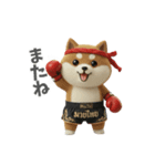 ムエタイ大好き♡柴犬夫婦の日常スタンプ（個別スタンプ：19）