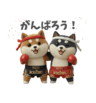 ムエタイ大好き♡柴犬夫婦の日常スタンプ（個別スタンプ：23）