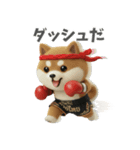 ムエタイ大好き♡柴犬夫婦の日常スタンプ（個別スタンプ：24）