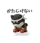 ムエタイ大好き♡柴犬夫婦の日常スタンプ（個別スタンプ：25）