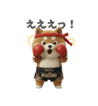 ムエタイ大好き♡柴犬夫婦の日常スタンプ（個別スタンプ：34）