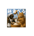 小花達のクリスマスと正月（日本語）（個別スタンプ：14）