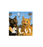 小花達の正月（日本語）（個別スタンプ：11）