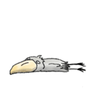 【大人の気遣いとSOS 】ハシビロコウとネコ（個別スタンプ：14）