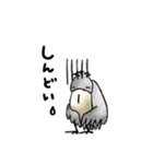 【大人の気遣いとSOS 】ハシビロコウとネコ（個別スタンプ：16）