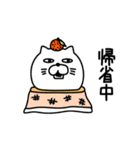 ねこたまっしぐら新年正月年末年始【再販】（個別スタンプ：24）