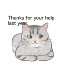 猫たちのお正月とクリスマス（英語版）（個別スタンプ：8）