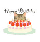 猫たちのお正月とクリスマス（英語版）（個別スタンプ：20）