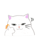 猫たちのお正月とクリスマス（英語版）（個別スタンプ：21）