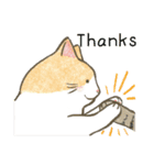 猫たちのお正月とクリスマス（英語版）（個別スタンプ：22）