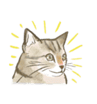 猫たちのお正月とクリスマス（英語版）（個別スタンプ：25）