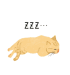 猫たちのお正月とクリスマス（英語版）（個別スタンプ：27）