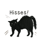 猫たちのお正月とクリスマス（英語版）（個別スタンプ：30）