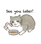 猫たちのお正月とクリスマス（英語版）（個別スタンプ：34）