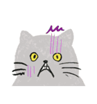 猫たちのお正月とクリスマス（英語版）（個別スタンプ：35）